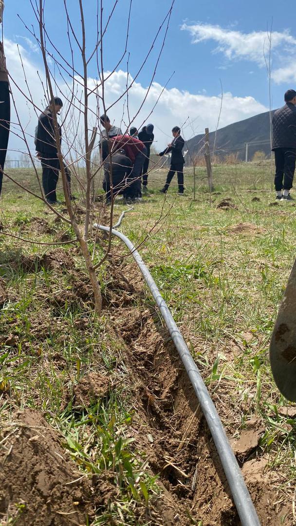 «АКВА» КЛУБ - ИННОВАЦИЯЛЫК БИЛИМ БЕРҮҮ МОДЕЛИ