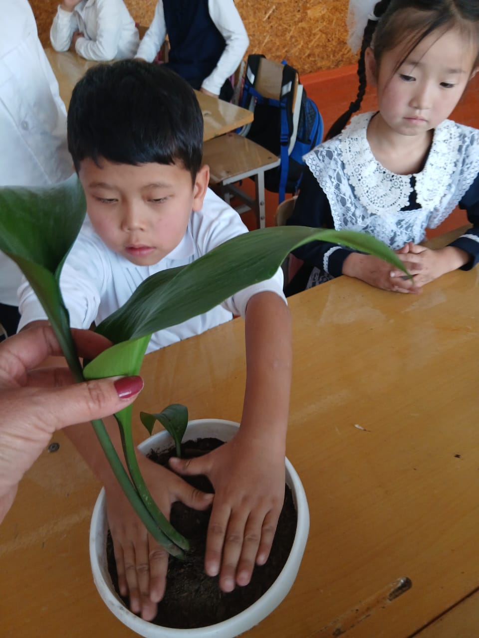 ЖАҢЫЧА БИЛИМ БЕРҮҮ - ИЙГИЛИКТҮҮ ТУРМУШКА КӨПҮРӨ