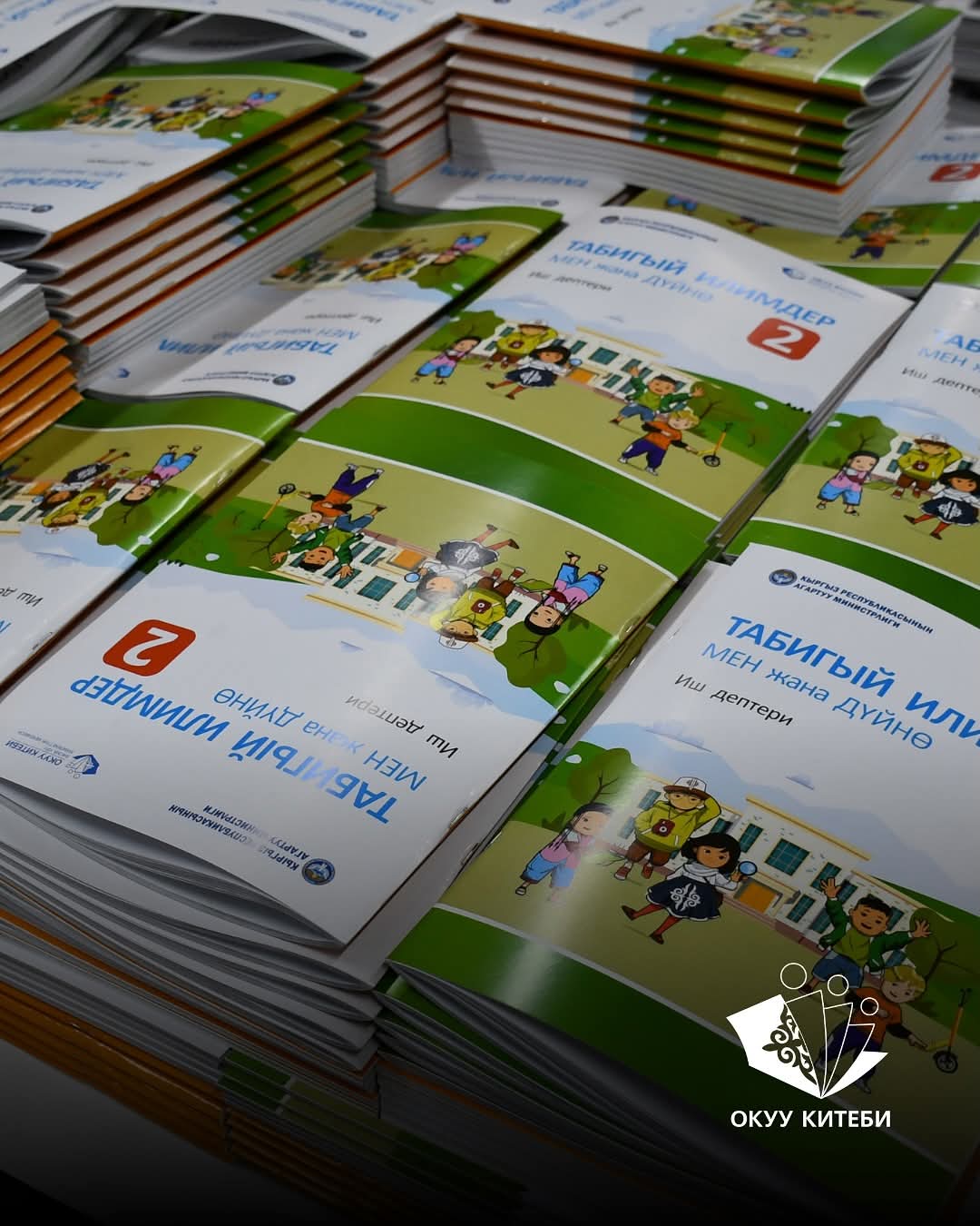 ОКУУ КИТЕПТЕРИН ЖАҢЫЛОО: СИСТЕМАЛУУ КАДАМДАР ЖАНА САНАРИПТИК ӨНҮГҮҮ