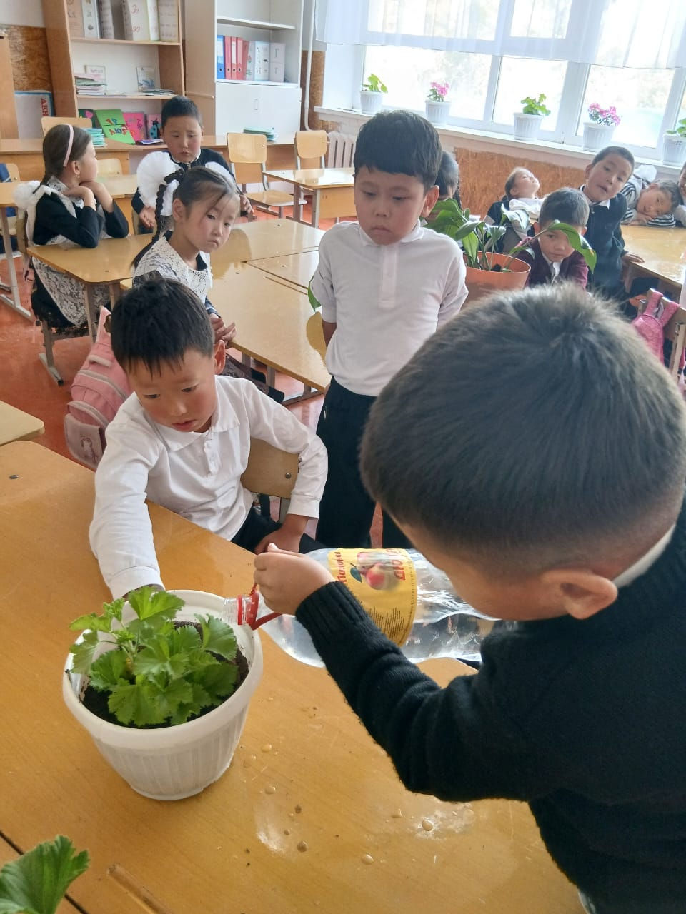 ЖАҢЫЧА БИЛИМ БЕРҮҮ - ИЙГИЛИКТҮҮ ТУРМУШКА КӨПҮРӨ