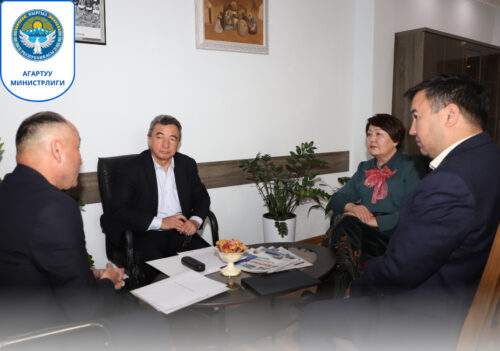 МИНИСТР ПРОВЕЛА ВСТРЕЧУ С АКИМАМИ