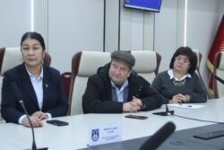 КЫТАЙЛЫК АДИСТЕР ЖАСАЛМА ИНТЕЛЛЕКТ БОЮНЧА ТАЖРЫЙБА БӨЛҮШТҮ