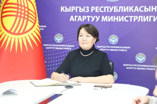 АВСТРИЯ ДЕЛЕГАЦИЯСЫ МЕНЕН ОНЛАЙН-КЕҢЕШМЕ