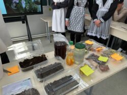 Заманбап билимге карай жол