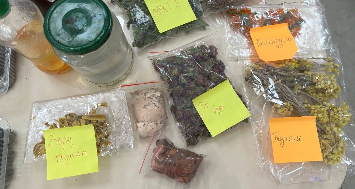 Заманбап жаңыланган билим жолунда