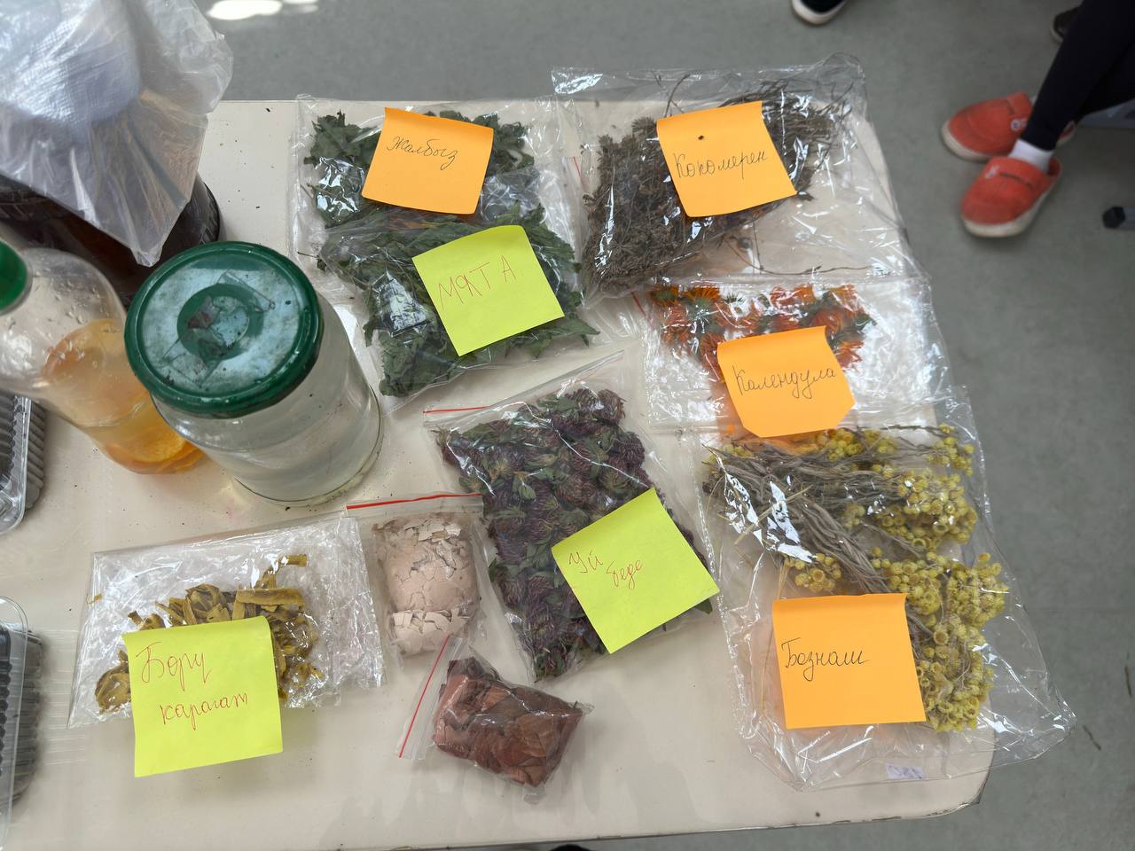 Заманбап билимге карай жол