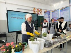 Заманбап билимге карай жол