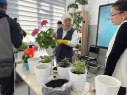 Заманбап билимге карай жол