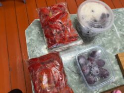 Заманбап билимге карай жол