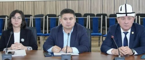 МААНИЛҮҮ ЖОЛУГУШУУ