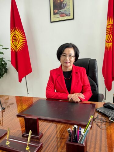 “Методикалык жардам сын эмес, өнүгүүгө багытталган колдоо болушу керек”