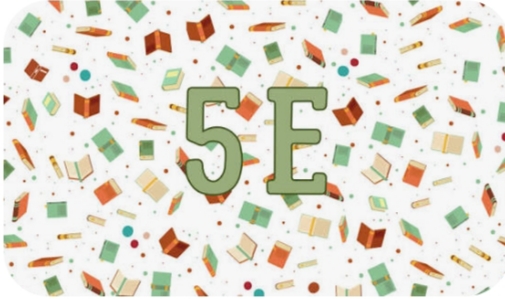 XXI КЫЛЫМДЫН КӨНДҮМДӨРҮ, ФУНКЦИОНАЛДЫК САБАТТУУЛУК ЖАНА STEAM БИЛИМ БЕРҮҮ