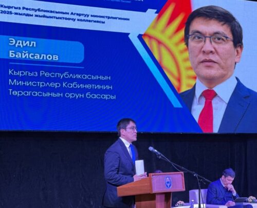 2025-ЖЫЛ ЖЫЙЫНТЫГЫ: ТАТААЛ, БИРОК МААНИЛҮҮ РЕФОРМА