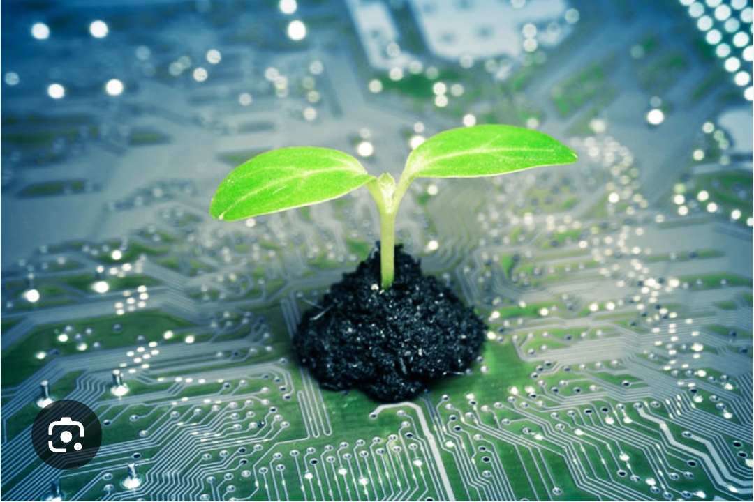 ИННОВАЦИЯЛЫК ТЕХНОЛОГИЯЛАРДЫ КОЛДОНУУ АРКЫЛУУ КЕЛЕЧЕКТЕГИ ПЕДАГОГИКАЛЫК БАГЫТТАГЫ КОМПЕТЕНТТҮҮ МУГАЛИМДЕРДИ ДАЯРДООНУН НЕГИЗДЕРИ