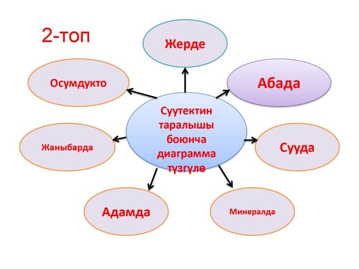 СУУТЕК ЖАНА АНЫН ЖАЛПЫ МҮНӨЗДӨМӨСҮ, КОЛДОНУЛУШУ