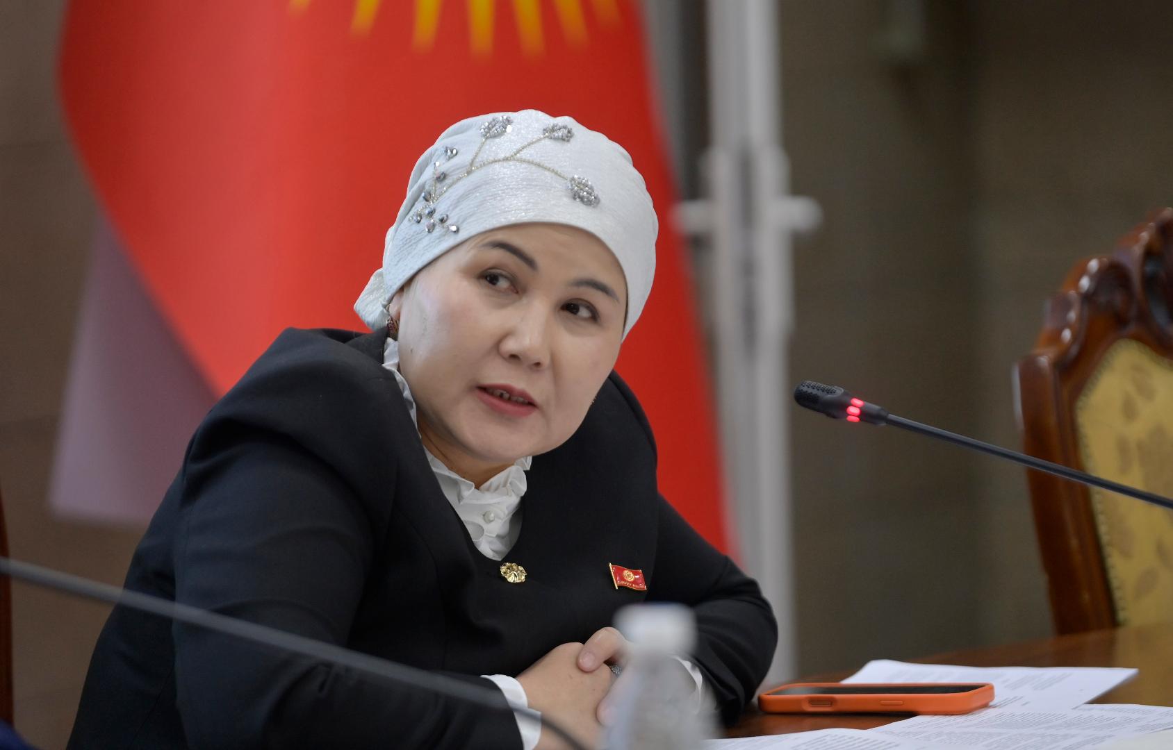 «КЕЛЕЧЕК ҮЧҮН БИЛИМ БЕРҮҮ» ДОЛБООРУНА 6,36 МИЛЛИОН АКШ ДОЛЛАРЫН БӨЛҮҮ КАРАЛУУДА