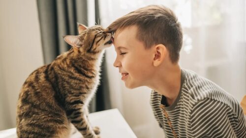 Илим дүйнөсүндөгү башкы жаңылыктар