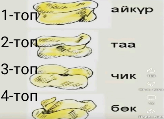 "УЛУТТУК НАРК — ҮЙ-БҮЛӨДӨН БАШТАЛАТ" (Ата-энелер чогулушу)