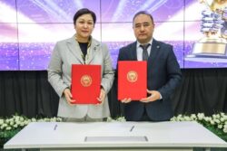 Жеңишке жеткен үч долбоор