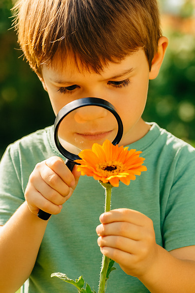 Илим деген эмне?