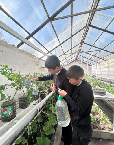 ЖАШЫЛ МАТЕМАТИКА: ФОРМУЛАДАН ПРАКТИКАГА ЖАНА ИЙГИЛИККЕ КАРАЙ ЖОЛ