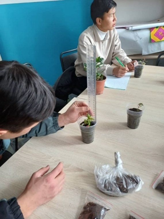 ЖАШЫЛ МАТЕМАТИКА: ФОРМУЛАДАН ПРАКТИКАГА ЖАНА ИЙГИЛИККЕ КАРАЙ ЖОЛ