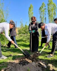 «Мектептер 2030». Жашыл көндүмдөр жана практикалык чечимдер