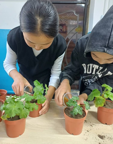 ЖАШЫЛ МАТЕМАТИКА: ФОРМУЛАДАН ПРАКТИКАГА ЖАНА ИЙГИЛИККЕ КАРАЙ ЖОЛ