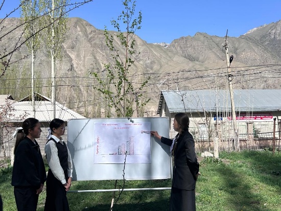 ЖАШЫЛ МАТЕМАТИКА: ФОРМУЛАДАН ПРАКТИКАГА ЖАНА ИЙГИЛИККЕ КАРАЙ ЖОЛ