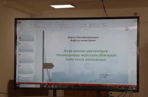 ЖЕКЕ МЕНЧИК МЕКТЕПТЕРДИ ТЕКШЕРҮҮГӨ МОРАТОРИЙ: ЛИЦЕНЗИЯ ТАЛАПТАРЫ КҮЧҮНДӨ КАЛАТ