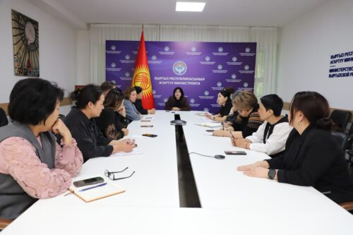 МИНИСТРЛИКТЕ ИНКЛЮЗИВДҮҮ БИЛИМ БЕРҮҮНҮ ӨНҮКТҮРҮҮ МАСЕЛЕЛЕРИ ТАЛКУУЛАНДЫ