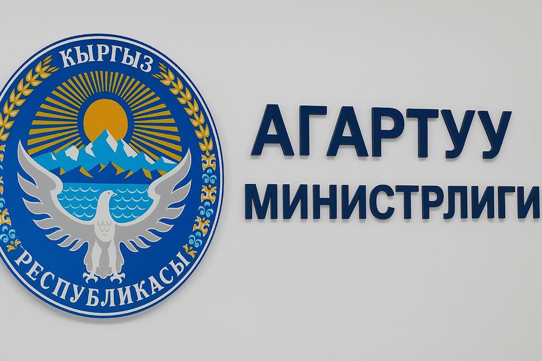 БИШКЕКТЕГИ АЗИЗ ЖАНА НАЧАР КӨРГӨН БАЛДАРДЫН ЖАТАК-МЕКТЕБИ ТЕКШЕРИЛДИ