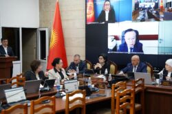 ДЕПУТАТТАРДЫН «БААТЫР ЭНЕЛЕРДИН» БАЛДАРЫНА БИЛИМ БЕРҮҮДӨ ЖЕҢИЛДИК БЕРҮҮ ДЕМИЛГЕСИ КОМИТЕТТЕН ӨТТҮ