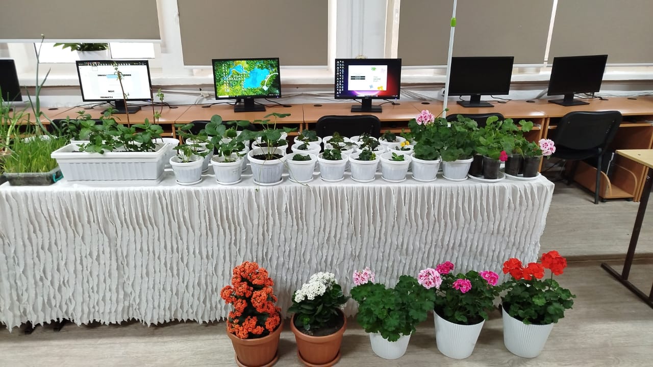 ТАЛАСТА ОКУУЧУЛАРДЫН ИННОВАЦИЯЛЫК ДОЛБООРЛОРУ КООМЧУЛУККА ТААНЫШТЫРЫЛДЫ