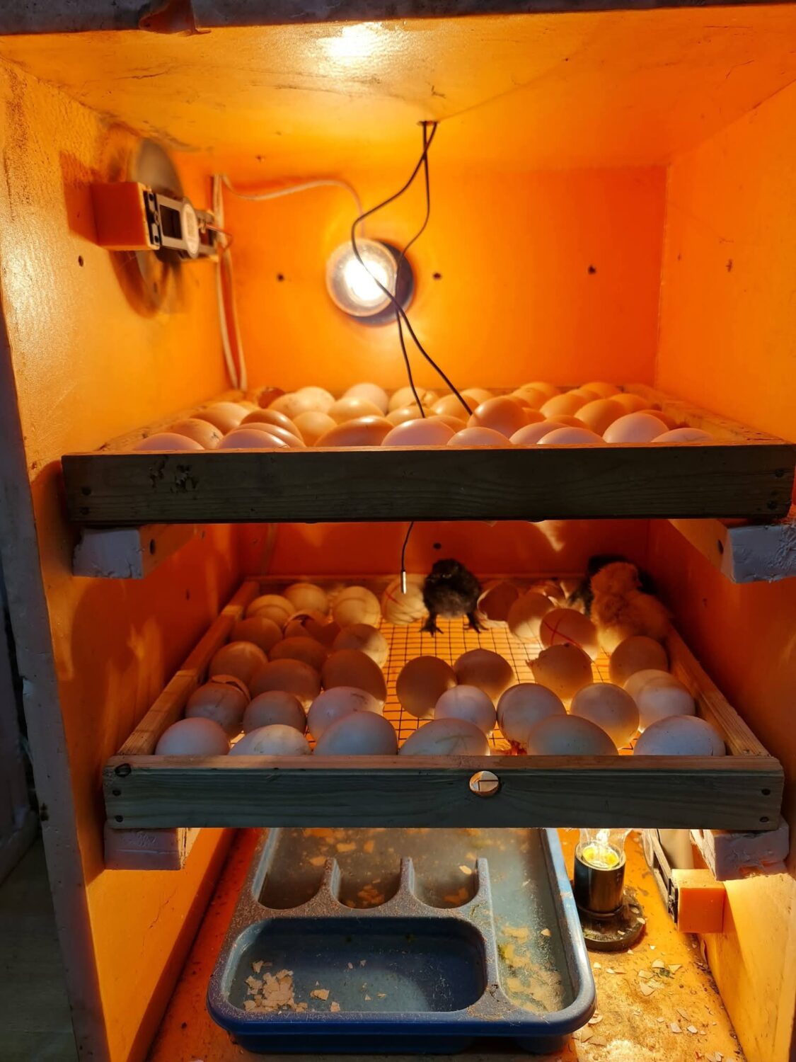 ТАЛАСТА ОКУУЧУЛАРДЫН ИННОВАЦИЯЛЫК ДОЛБООРЛОРУ КООМЧУЛУККА ТААНЫШТЫРЫЛДЫ