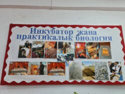 ТАЛАСТА ОКУУЧУЛАРДЫН ИННОВАЦИЯЛЫК ДОЛБООРЛОРУ КООМЧУЛУККА ТААНЫШТЫРЫЛДЫ