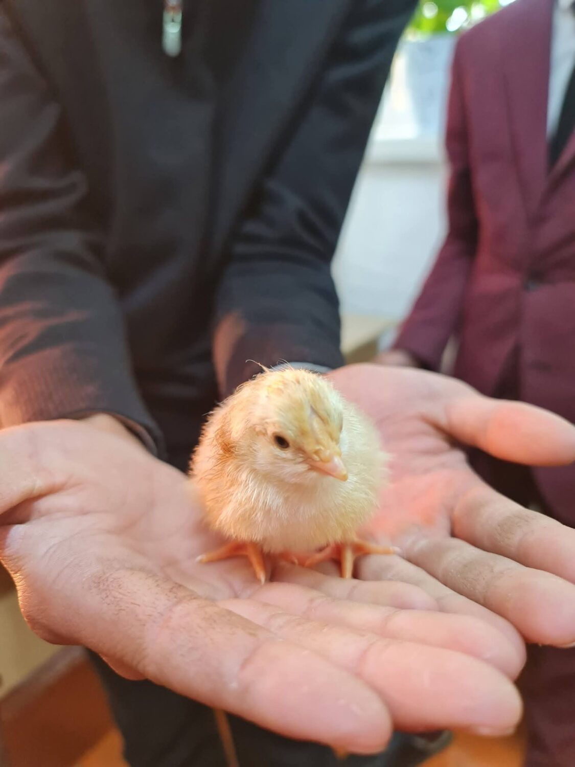 ТАЛАСТА ОКУУЧУЛАРДЫН ИННОВАЦИЯЛЫК ДОЛБООРЛОРУ КООМЧУЛУККА ТААНЫШТЫРЫЛДЫ