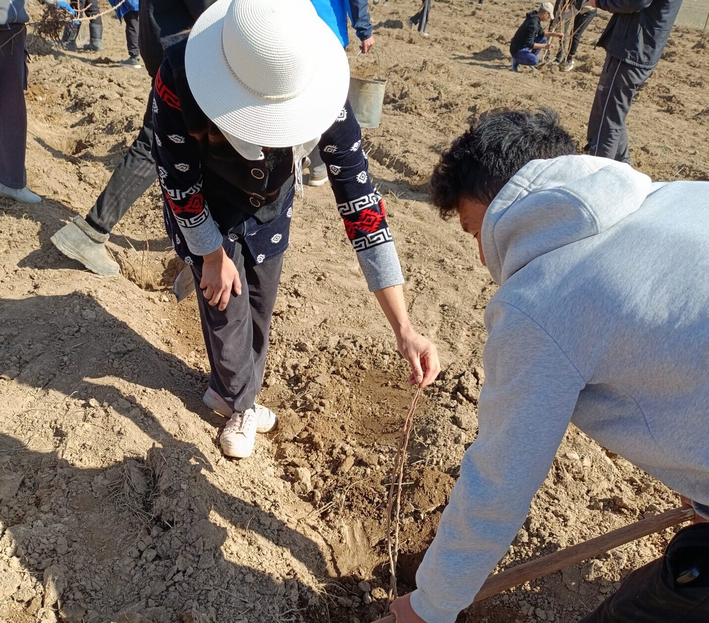 Жашыл мурас - жашоонун булагы