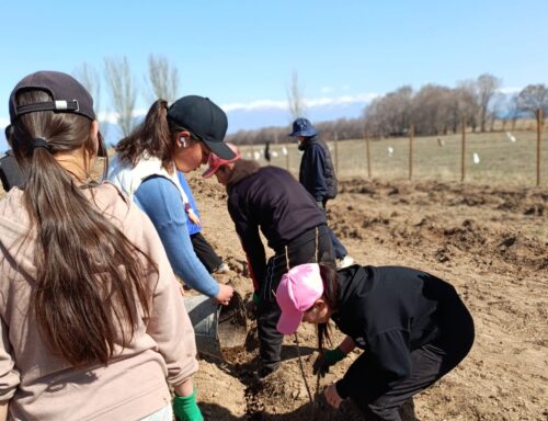 Жашыл мурас — жашоонун булагы