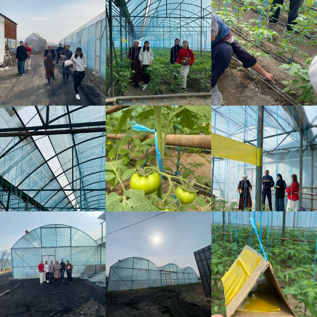 ДЕМИЛГЕДЕН ЖАРАЛГАН ИЙГИЛИК