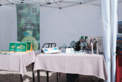 Калдыктарды трендге айландыруу