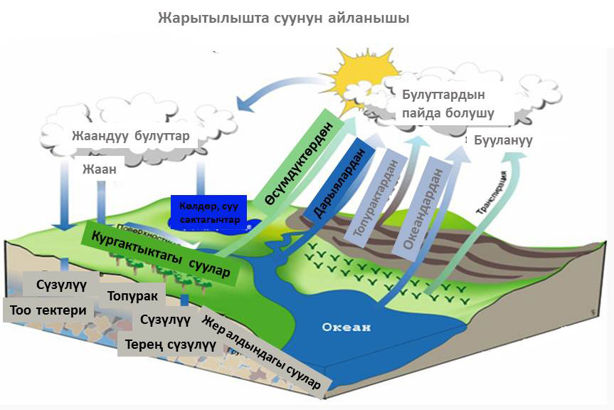 Жаратылышта суунун айлануусу