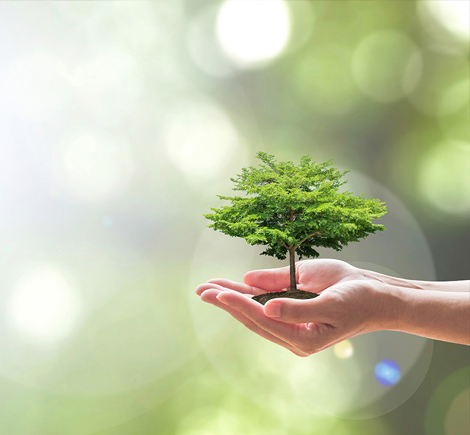 Жашыл мурас — жашоонун булагы