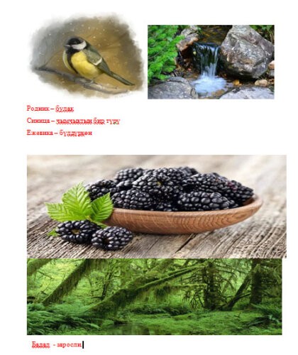 Тема урока: Река и камень. Склонение имён существительных.