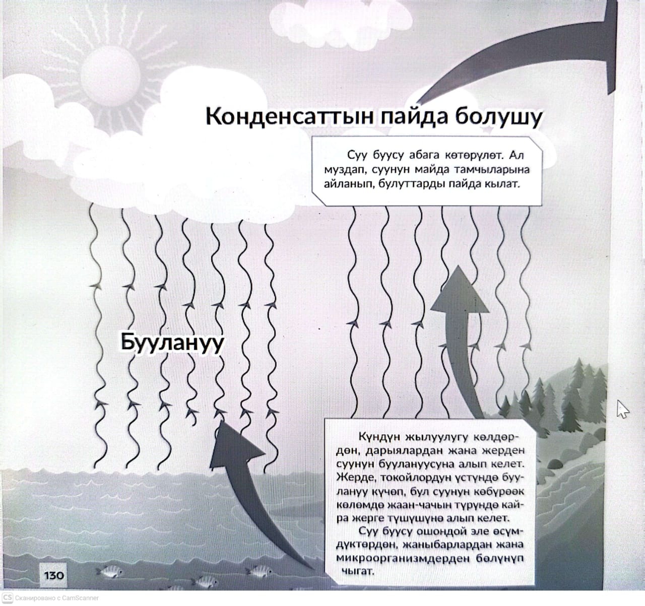 Жаратылышта суунун айлануусу