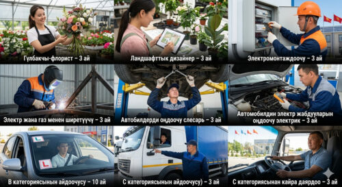 №20 КЕСИПТИК ЛИЦЕЙ КОМПЕТЕНТТҮҮ АДИСТЕРДИ ДАЯРДАЙТ
