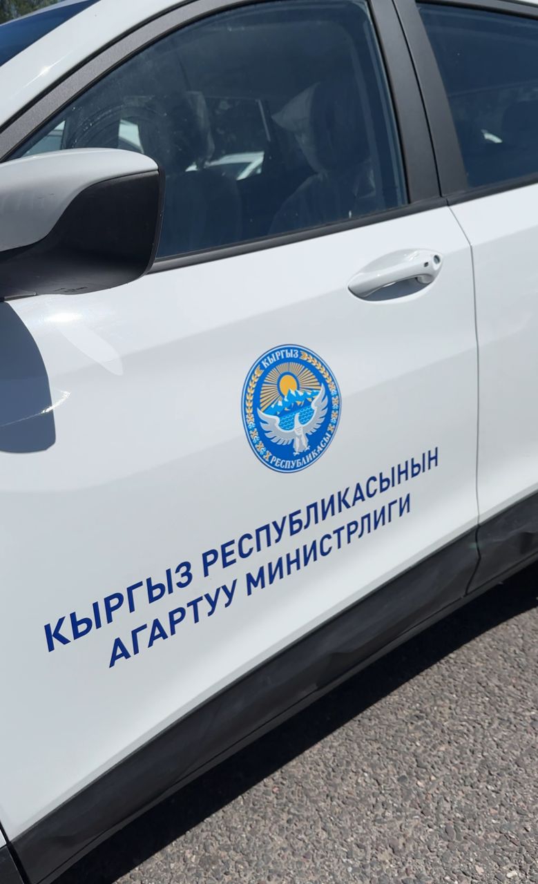 БИЛИМ БЕРҮҮ МЕКЕМЕЛЕРИНЕ 91 ЖАҢЫ КЫЗМАТТЫК АВТОУНАА БЕРИЛДИ