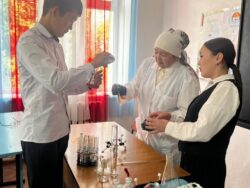 ТЕОРИЯДАН ПРАКТИКАГА: ЖАҢЫ МУУНДАГЫ БИЛИМ БЕРҮҮ