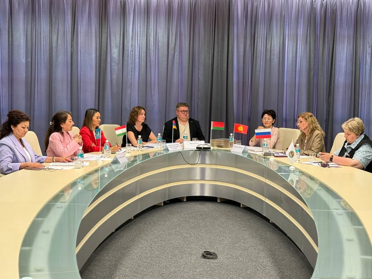 КЫРГЫЗСТАН КМШ ӨЛКӨЛӨРҮНҮН БАЛДАР УКУКТАРЫ БОЮНЧА КОМИССИЯСЫНЫН ЖЫЙЫНЫНА КАТЫШТЫ