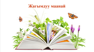 Жазгы жамгыр